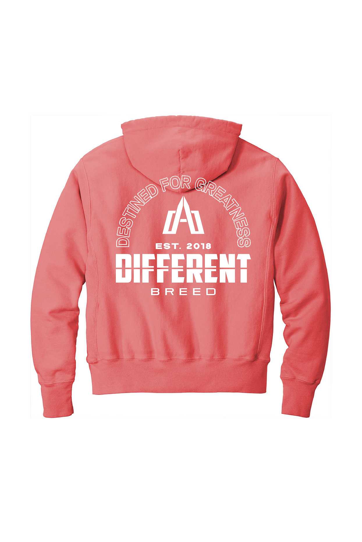 "Destined For Greatness" Hoodie - Champion