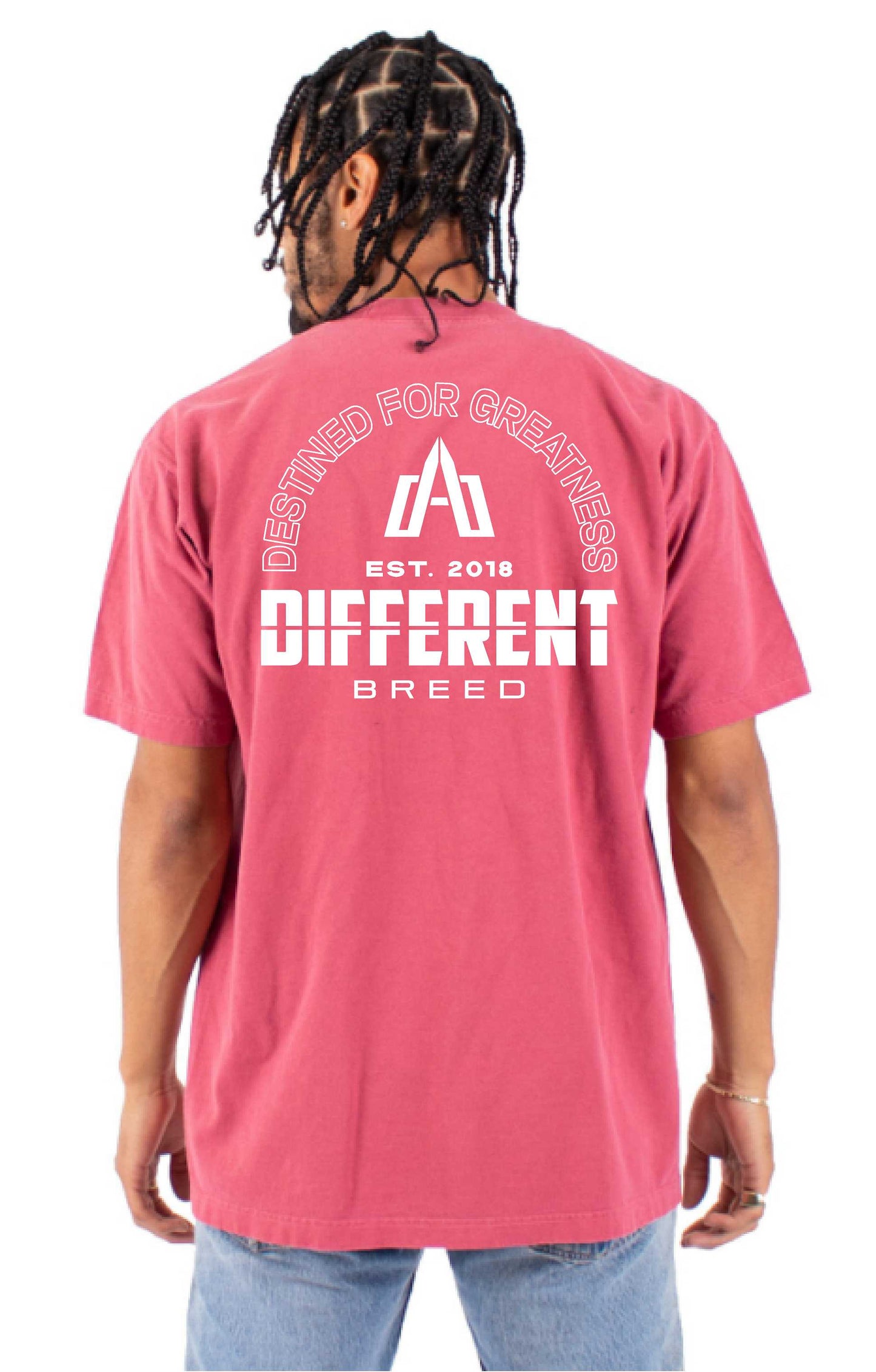'Destined For Greatness' Shirt - Clay Red
