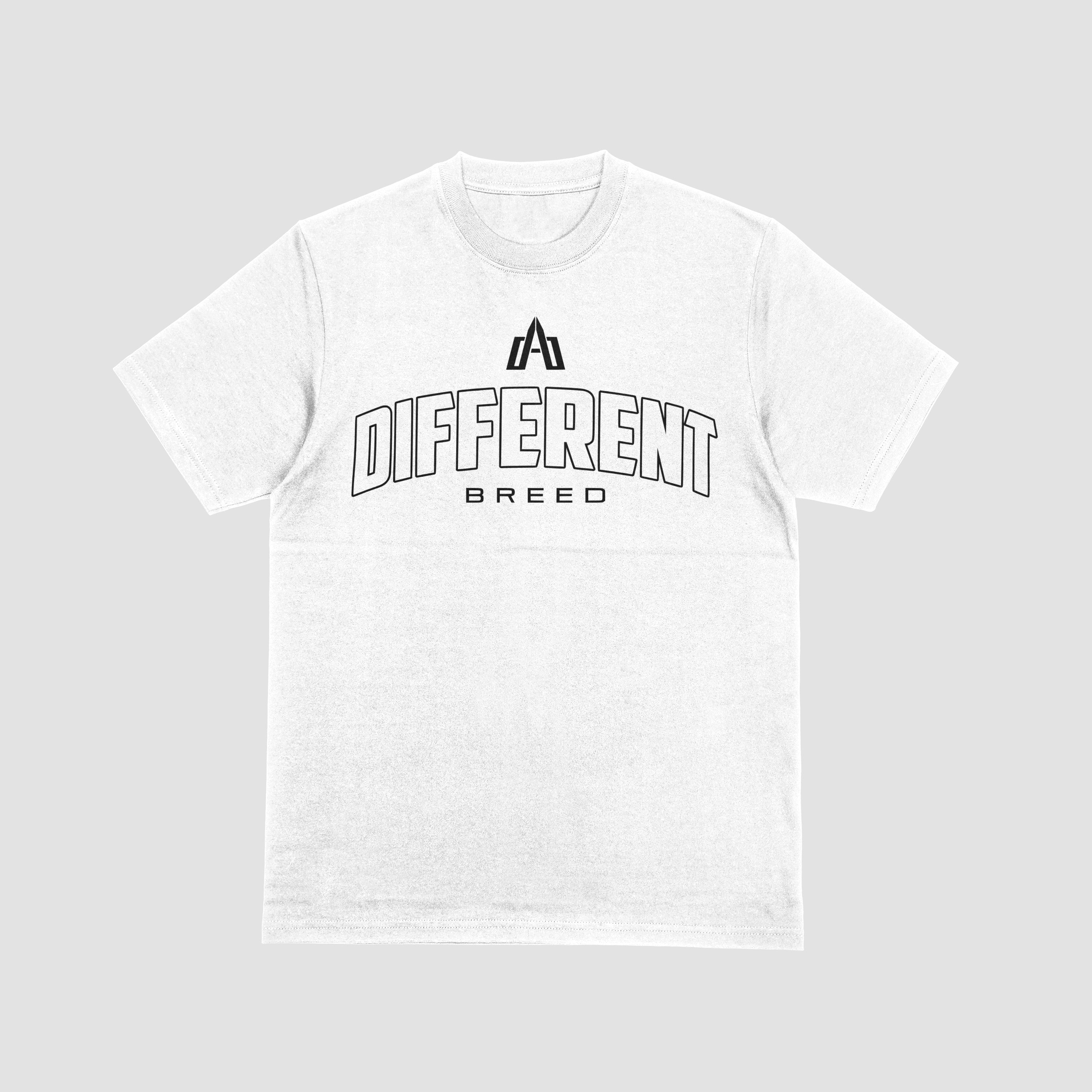 "Slow Guy Tour" Shirt